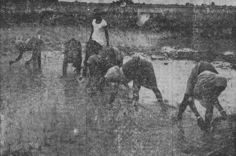 For women in India, there is little joy: living in a hut, managing a large family, and working in the fields all day long.